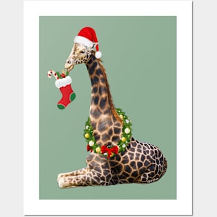 Christmas  Giraffe Posters and Art